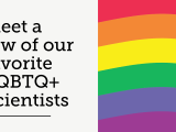 Meet a few of our favorite LGBTQIA+&nbsp;Scientists