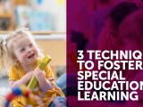 3 Techniques to Foster Special Educational&nbsp;Learning