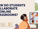 How Do Students Collaborate in Online&nbsp;Classrooms?